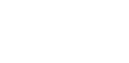 Bizi Birleştiren Hayat