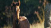 War Horse