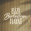 Bizi Birleştiren Hayat