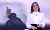 Buket Aydın'la Kanal D Haber - 14.01.2020