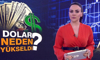 Dolar neden yükseldi?