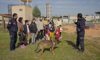 Kahraman AFAD köpekleri!