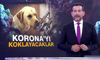 Köpekler Korona'yı koklayacak!
