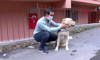 Görme engelli bireylerin can yoldaşı: Rehber Köpekler