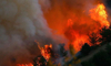 Son dakika haberi: Bakan Pakdemirli açıklama yaptı! 24 orman yangınında son durum!