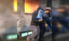 Yangına damacanalarla müdahale | Video