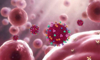 T hücresi koronavirüsü önlüyor mu? | Video 