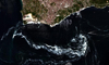 Deniz salyası uzaydan görüntülendi