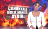 Çanakkale, Bolu, Manisa, Aydın... yanıyor!