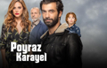 Poyraz Karayel