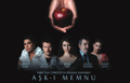 Aşk-ı Memnu