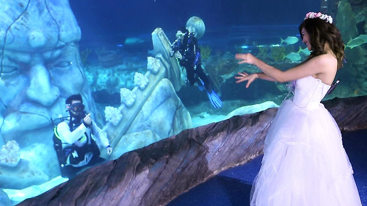 Kısmetse Olur 169.Bölüm