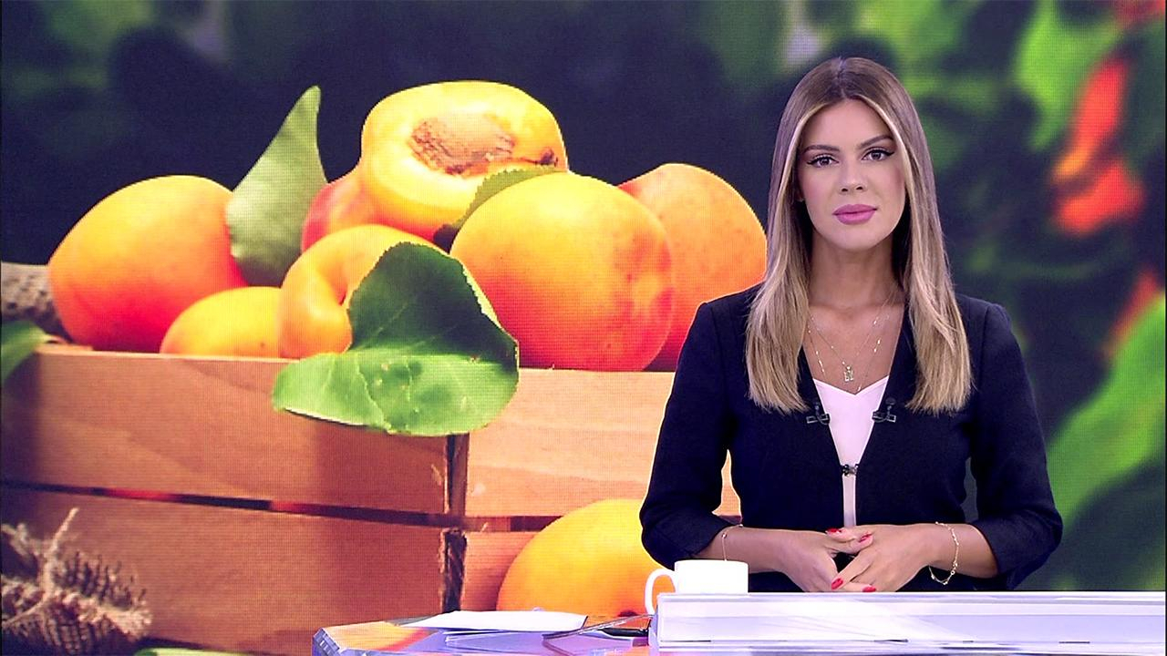 Kanal D Haber – 14.08.2019