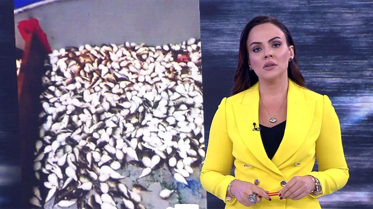 Buket Aydın’la Kanal D Haber – 16.10.2019