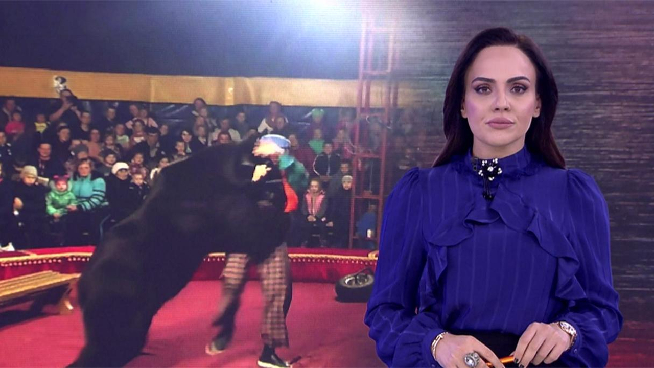 Buket Aydın’la Kanal D Haber – 24.10.2019