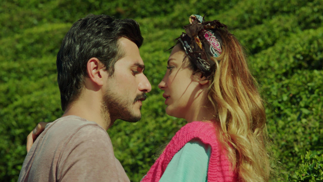 Şimdi Aşk