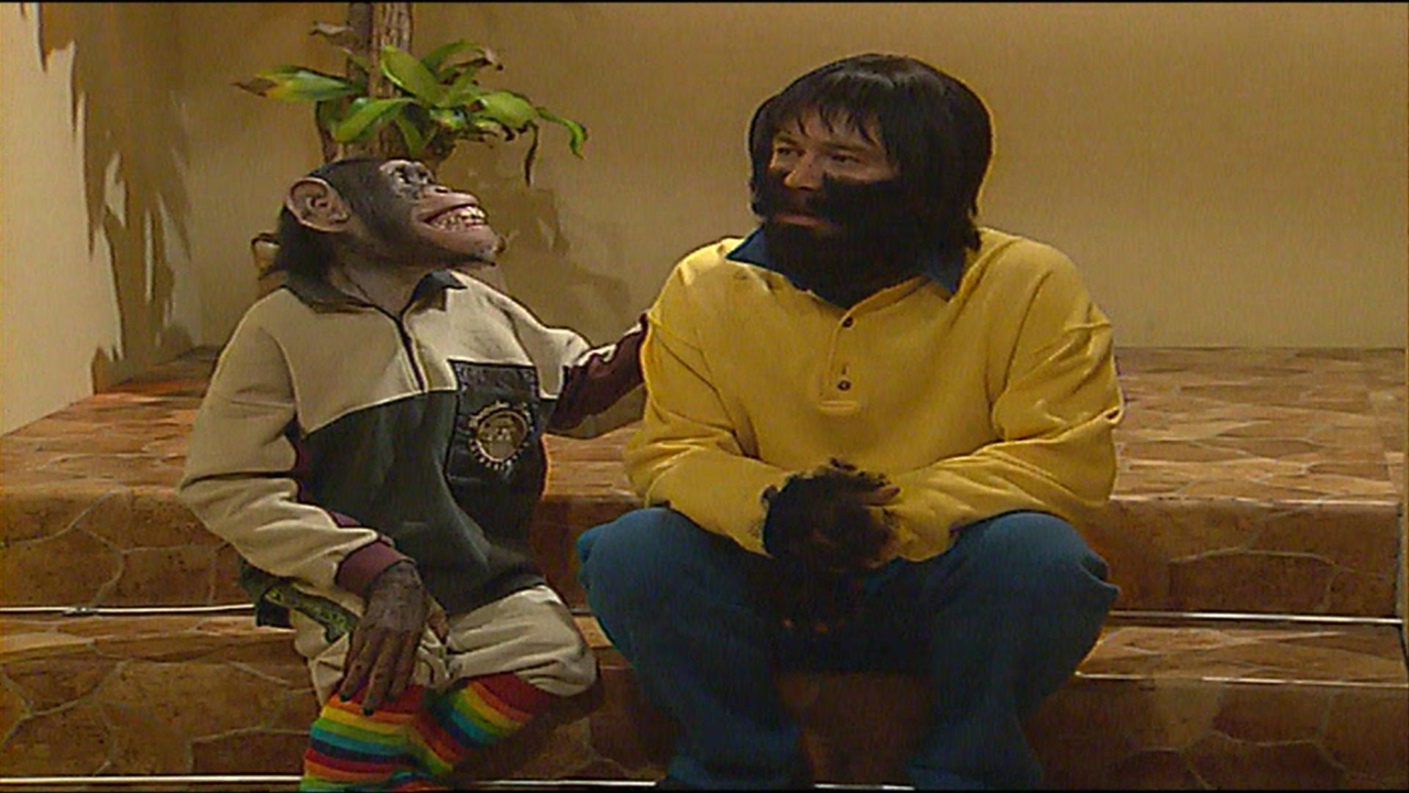 Çarli İş Başında 10. Bölüm