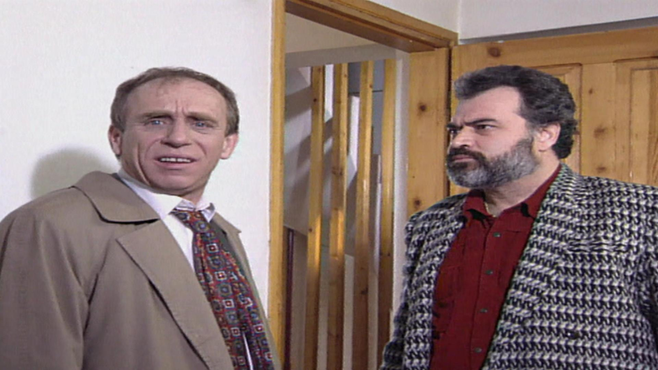 Zapping Ailesi 9. Bölüm