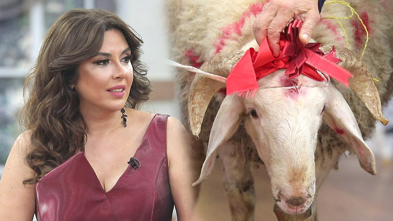 Aksiyon dolu kurban alışverişi!