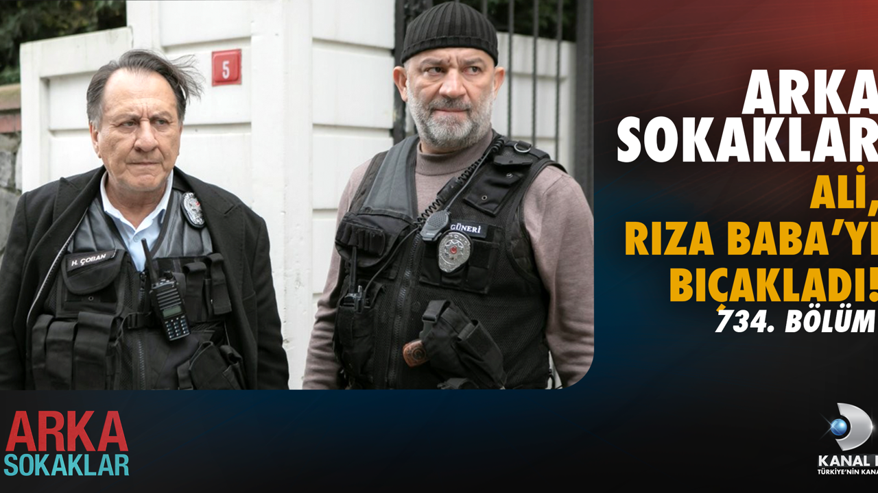 Arka Sokaklar 734. Bölüm