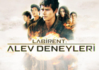 Labirent: Alev Deneyleri