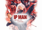 Ip Man: Kung Fu Ustası