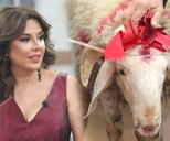 Aksiyon dolu kurban alışverişi!