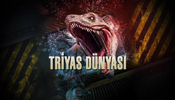 Triyas Dünyası