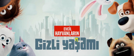 Evcil Hayvanların Gizli Yaşamı