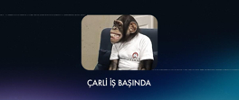 Çarli İş Başında