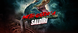 Meth Gator'a Saldırı
