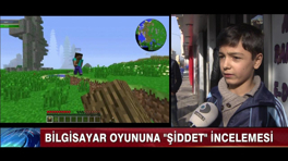 Bilgisayar oyunu Minecraft'a şiddet incelemesi