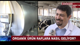 Organik ürün raflara nasıl geliyor?