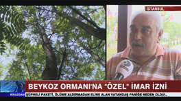 Beykoz Orman'ına "Özel İmar" izni!