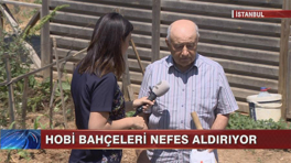 Hobi bahçeleri nefes aldırıyor!