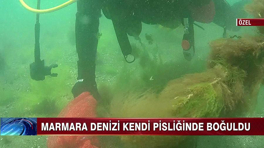 Marmara Denizi'nin son hali!