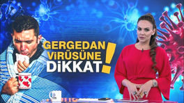 Buket Aydın'la Kanal D Haber - 14.12.2018