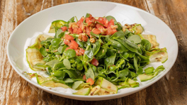 Semizotu Salatası Tarifi - Semizotu Salatası Nasıl Yapılır?