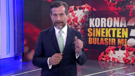 Sinekten koronavirüs bulaşır mı?