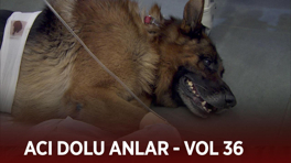 Ekibin acı dolu anları - VOL 36