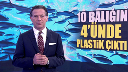 10 balığın 4'ünde plastik çıktı!