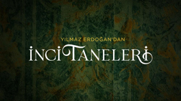 Başka iş yapamazsınız!