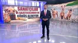 Sokak köpekleri için sanatçılar ve gazetecilerden de görüş alınıyor!