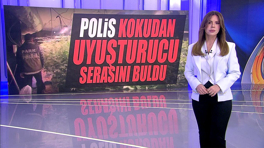 Kanal D Haber Hafta Sonu - 02.03.2025