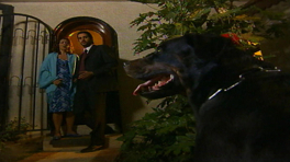 Yılan Hikayesi 64. Bölüm