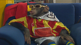 Çarli İş Başında 12. Bölüm