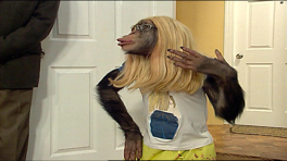 Çarli İş Başında 14. Bölüm