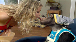 Çarli İş Başında 16. Bölüm