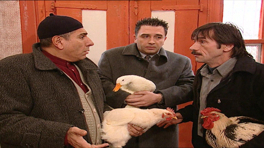 Vay Anam Vay 38. Bölüm