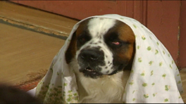 Bizim Aile 29. Bölüm